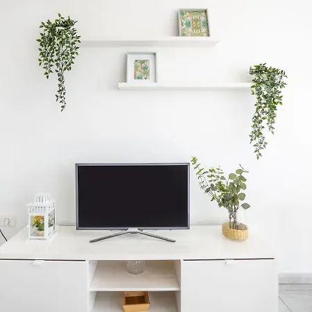 Live La Jaca El Remo דירה Arico